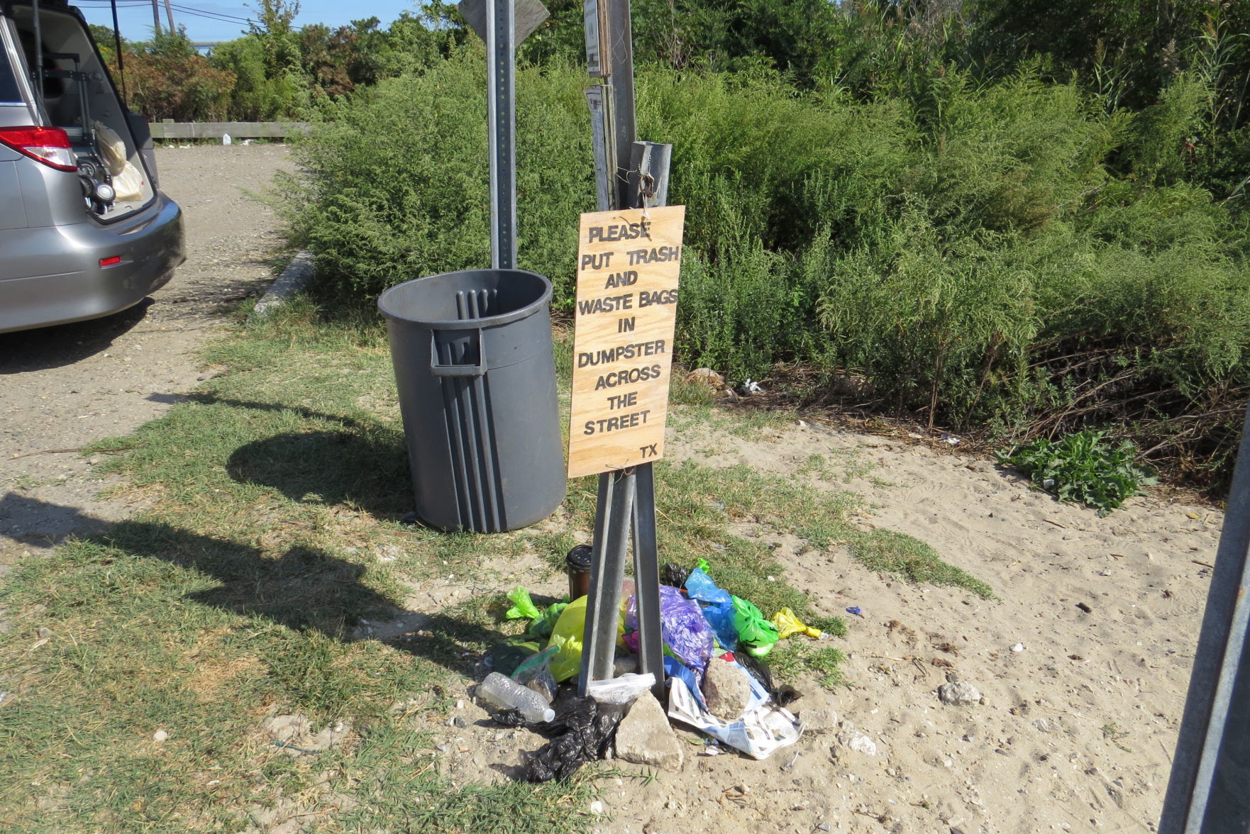 100816_urg_cdb_dogbeach (2).JPG
